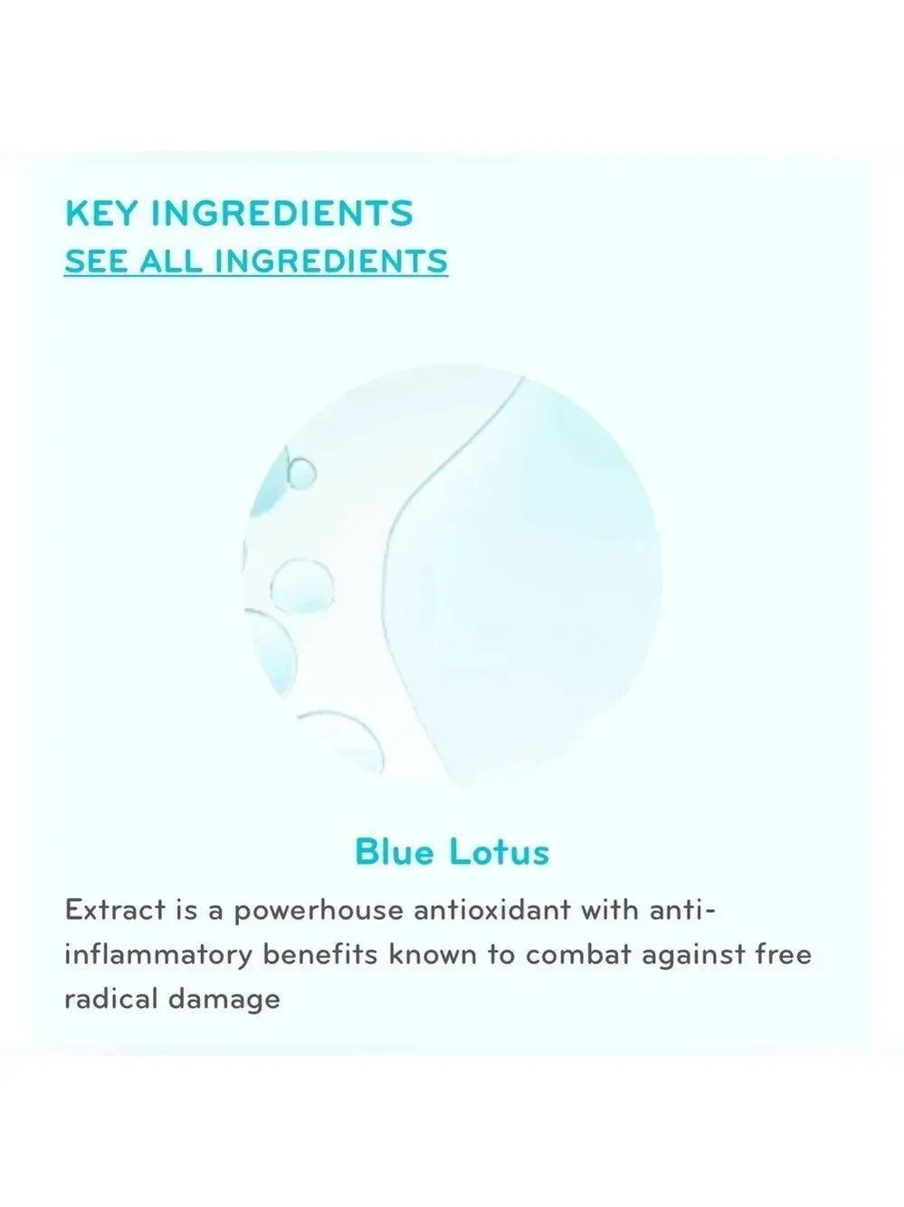 Purlisse Blue Lotus 4 in 1 Cleansing Milk Deluxe Travel Size Sample